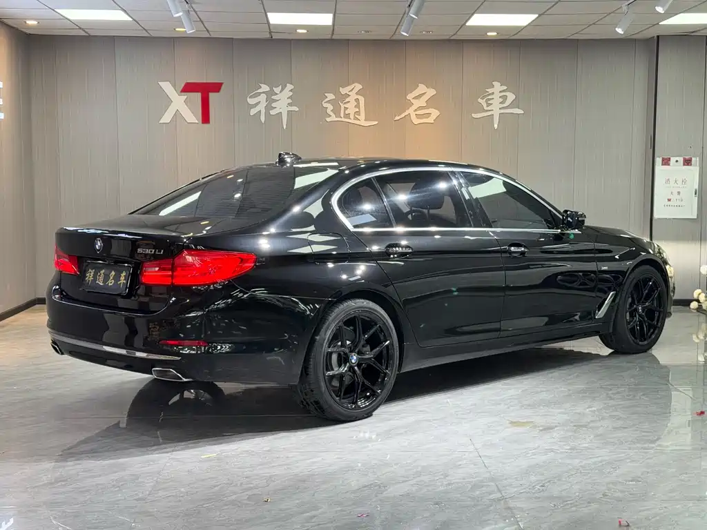 BMW 5 Series 2018 — фото 18