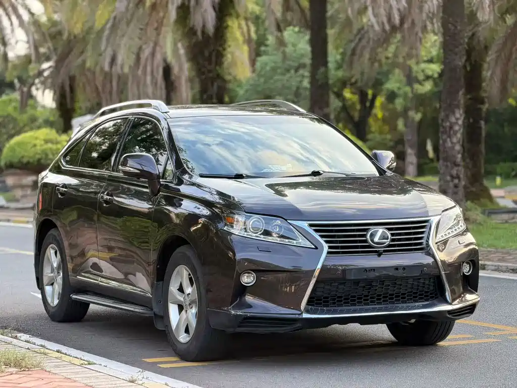 Lexus RX Classic 2014 — фото 3