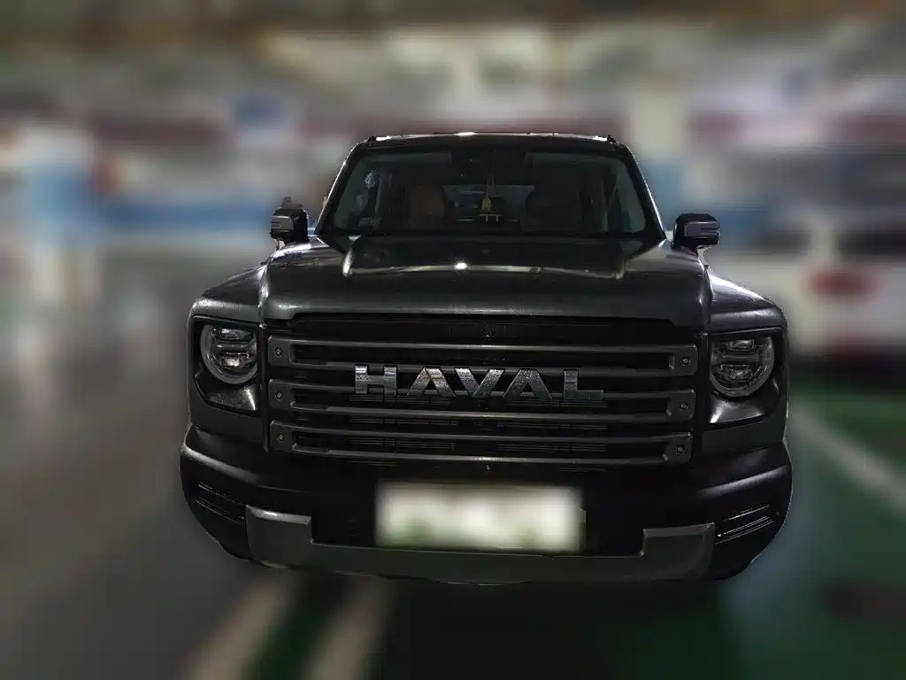 Haval Raptors New Energy 2024 — фото 24