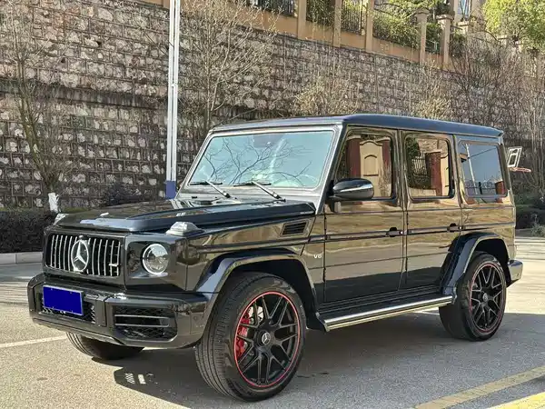 Mercedes-Benz G-Class 2011