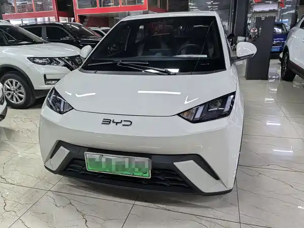 BYD Seagull 2024