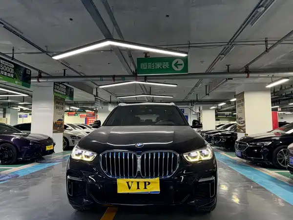 BMW X5 2022