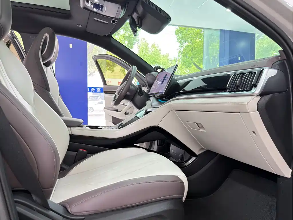 BYD Song PLUS New Energy 2025 — фото 13