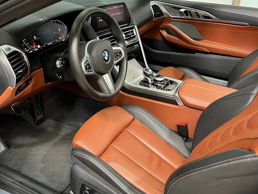 BMW 8 Series 2019 — фото 15