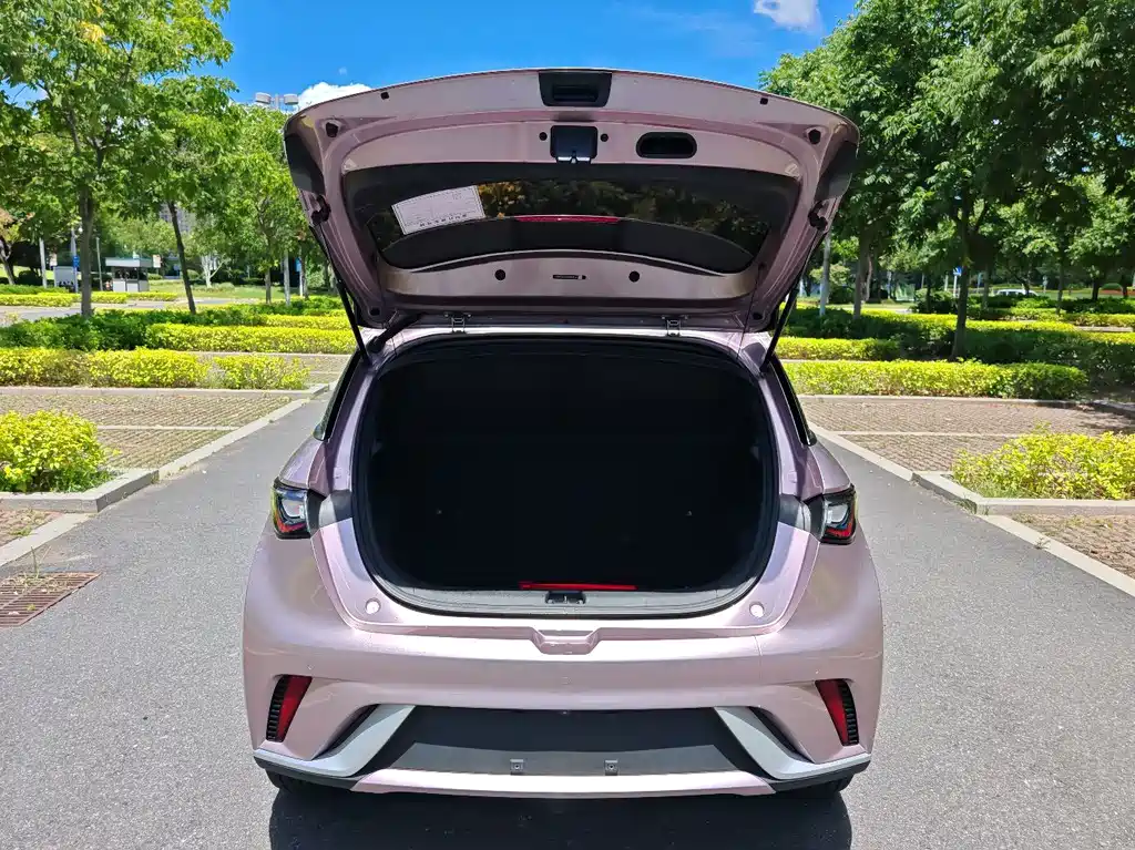 BYD Dolphin 2022 — фото 12