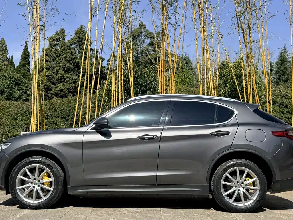 Alfa Romeo Stelvio 2020 — фото 7