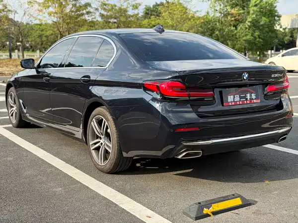 BMW 5 Series 2020