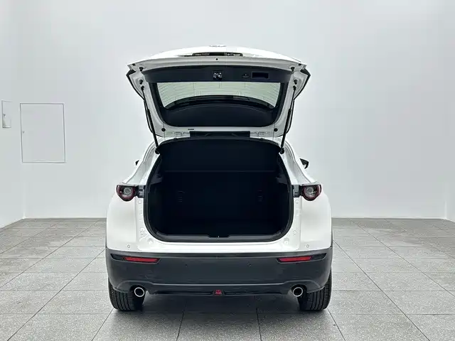 Mazda CX-30 2021 — фото 15