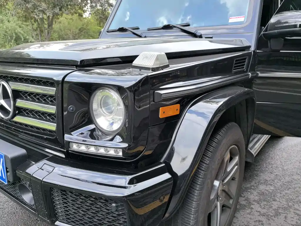 Mercedes-Benz G-Class 2018 — фото 18