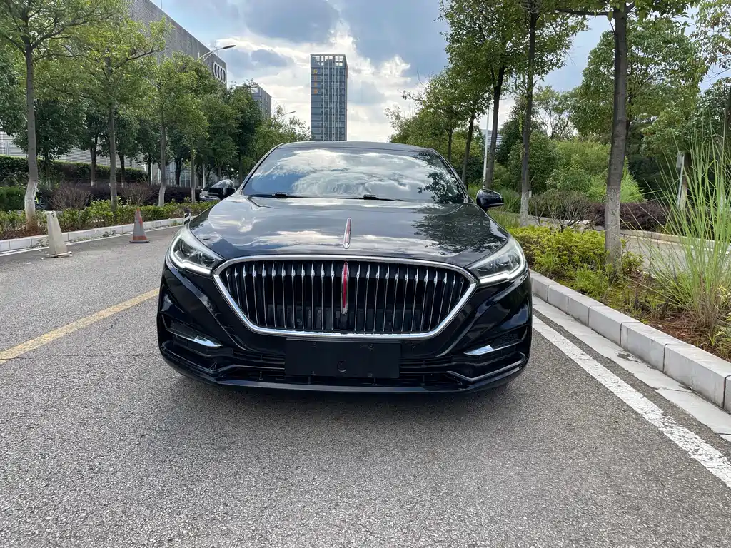 Hongqi H5 2020 — фото 2