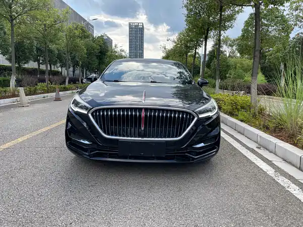 Hongqi H5 2020