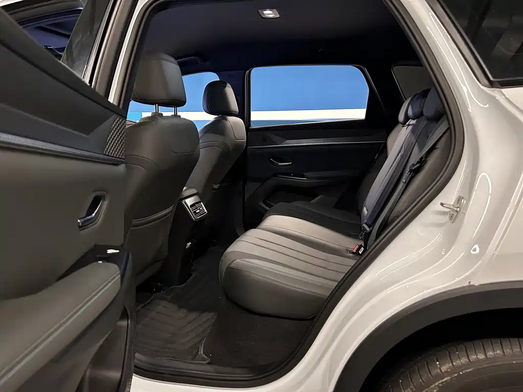 BYD Song Pro New Energy 2025 — фото 8