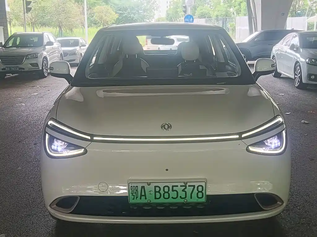 Dongfeng Nano 01 2025