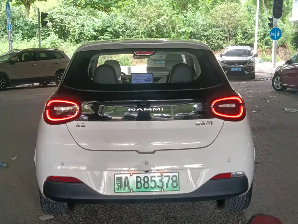 Dongfeng Nano 01 2025