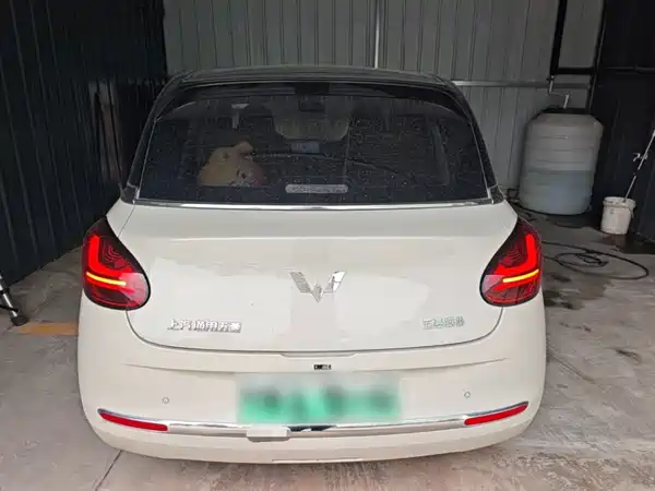Wuling Bingo 2023