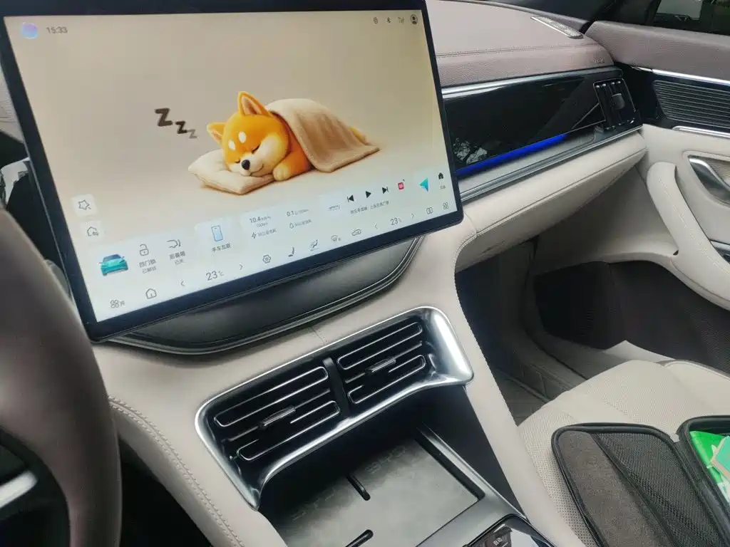 BYD Song PLUS New Energy 2025 — фото 9