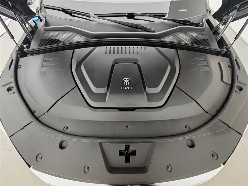 BYD PLUS New Energy 2023 — фото 6