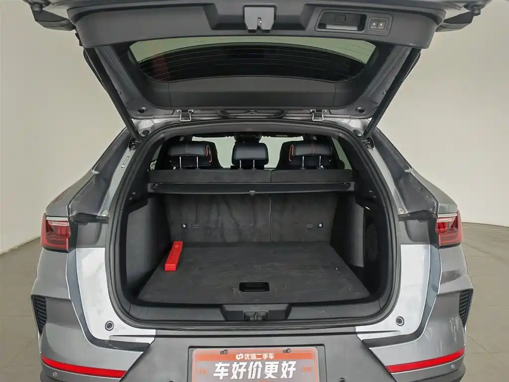 BYD PLUS New Energy 2023 — фото 16