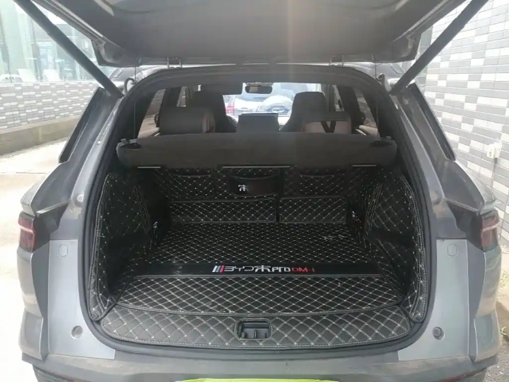 BYD Song Pro New Energy 2024 — фото 19