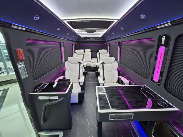 Hongqi Golden Sunflower 2024