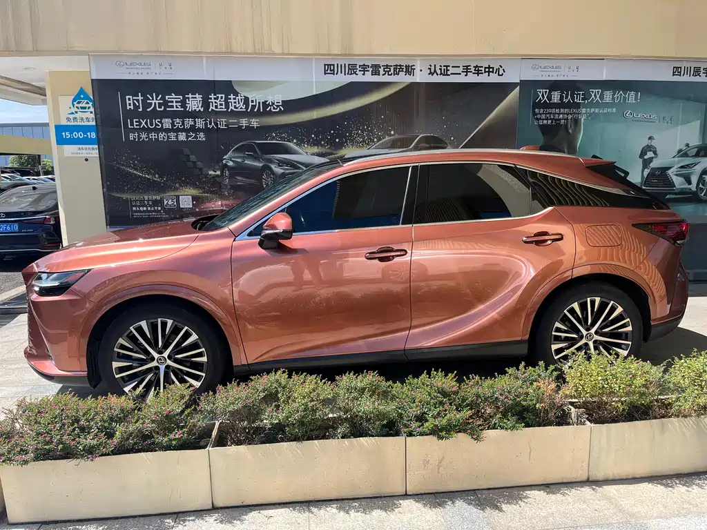 Lexus RX New Energy 2023 — фото 4