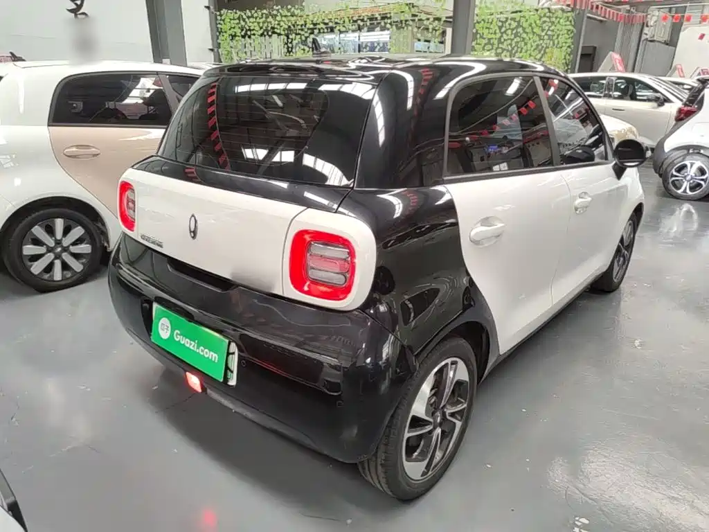 Ora Black Cat 2022