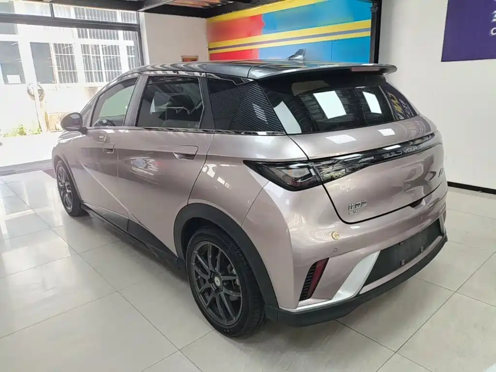 BYD Dolphin 2022