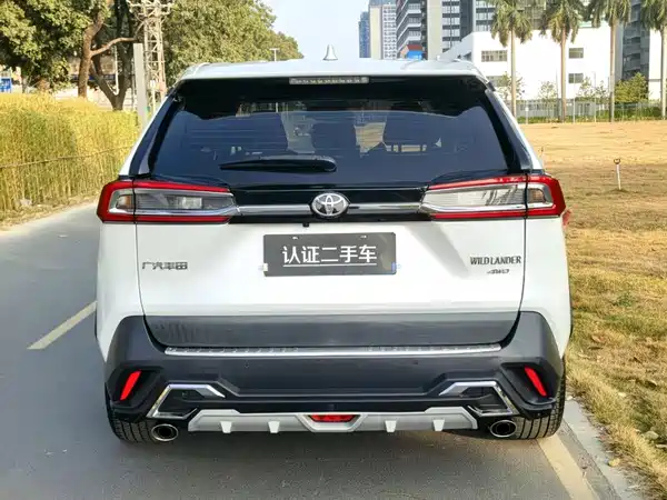Toyota Wildlander 2021