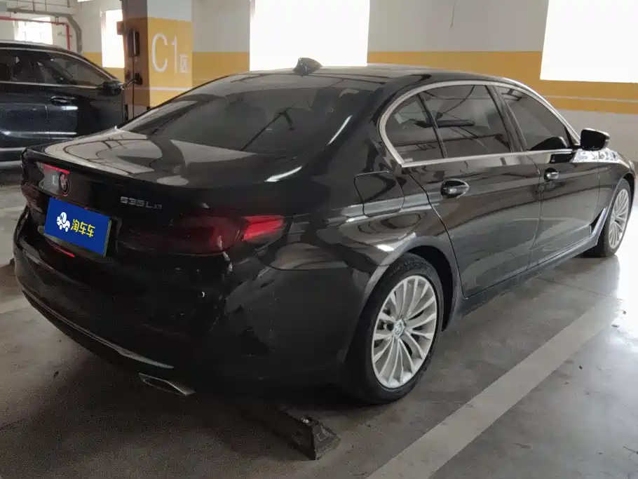 BMW 5 Series New Energy 2021