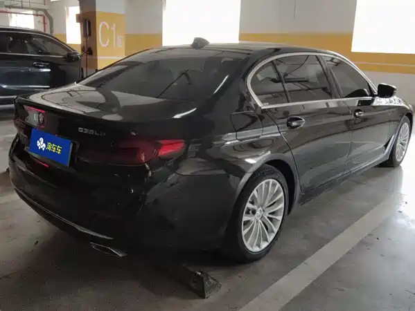 BMW 5 Series New Energy 2021