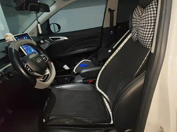 Neta V 2022