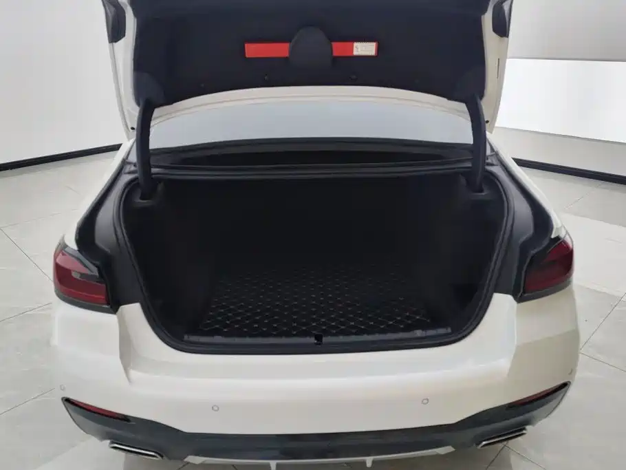 BMW 5 Series 2021
