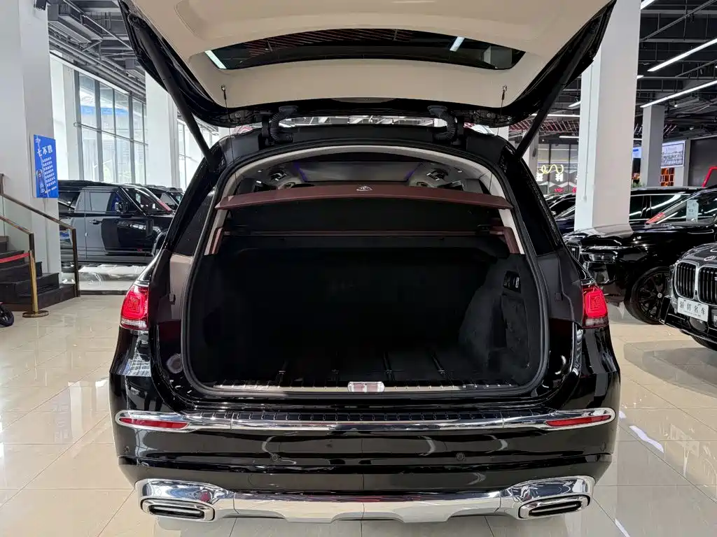 Mercedes-Benz Maybach GLS 2021 — фото 12