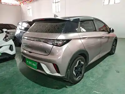 BYD Dolphin 2021