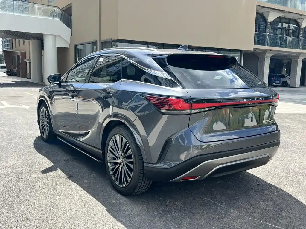 Lexus RX New Energy 2023 — фото 18