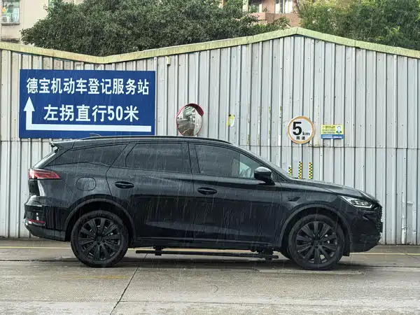 BYD Tang New Energy 2025