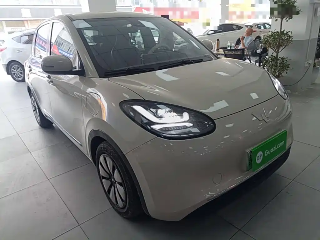 Wuling Bingo 2024