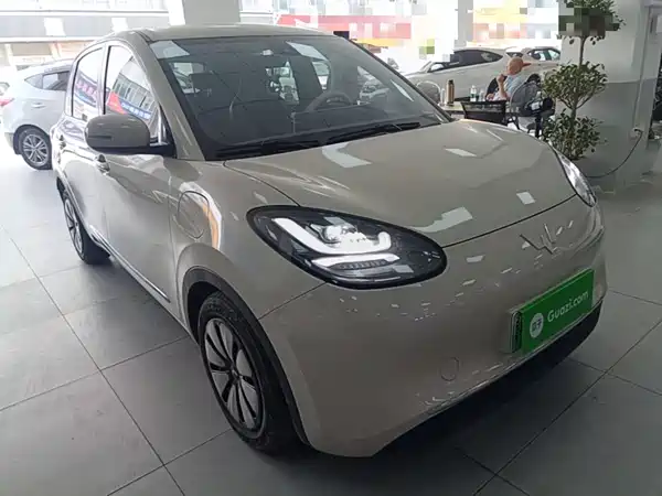 Wuling Bingo 2024