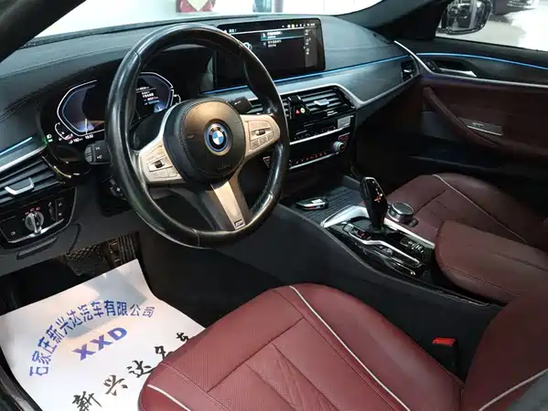 BMW 5 Series New Energy 2022