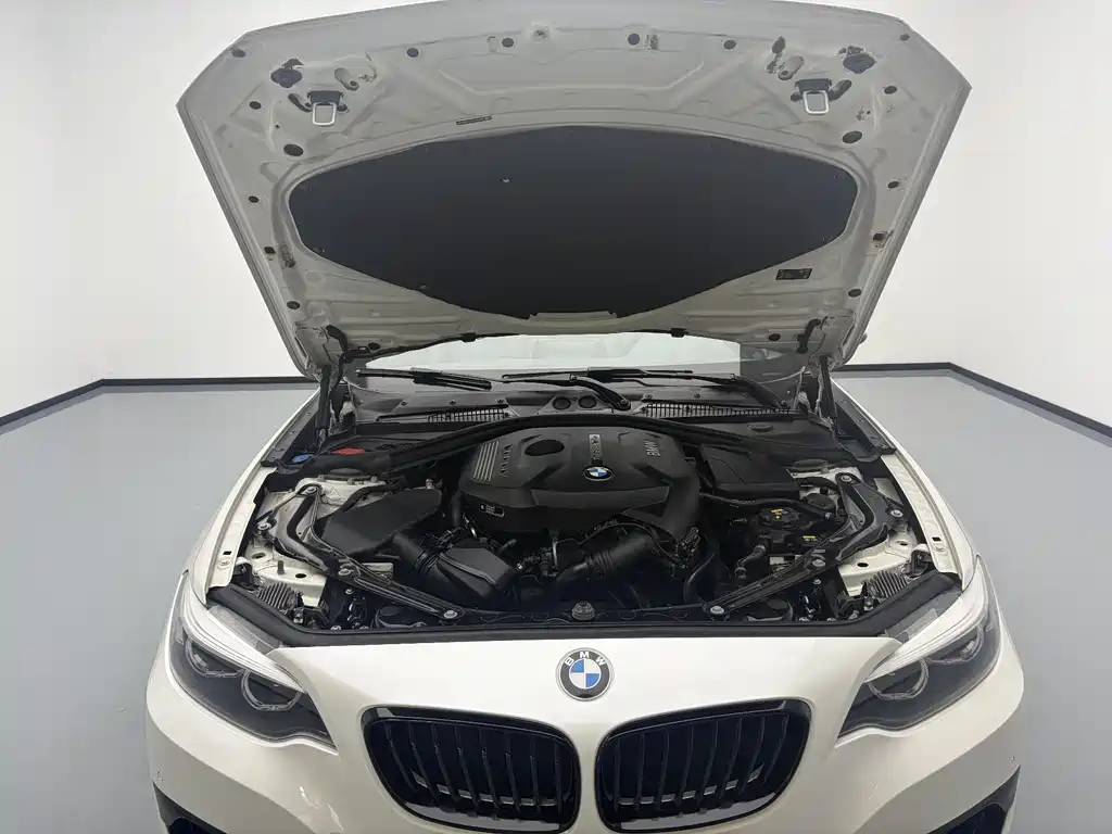 BMW 2 Series 2020 — фото 16