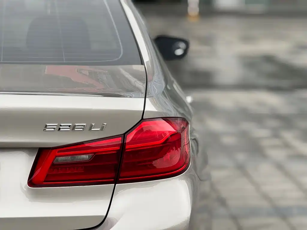 BMW 5 Series 2017 — фото 15