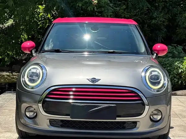 MINI 2019
