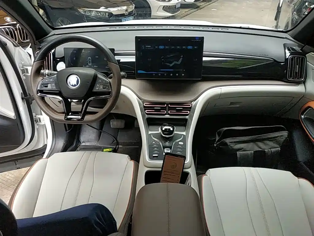 BYD Pro New Energy 2022 — фото 10