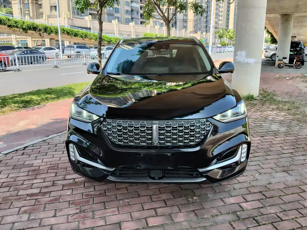 Wey VV6 2020