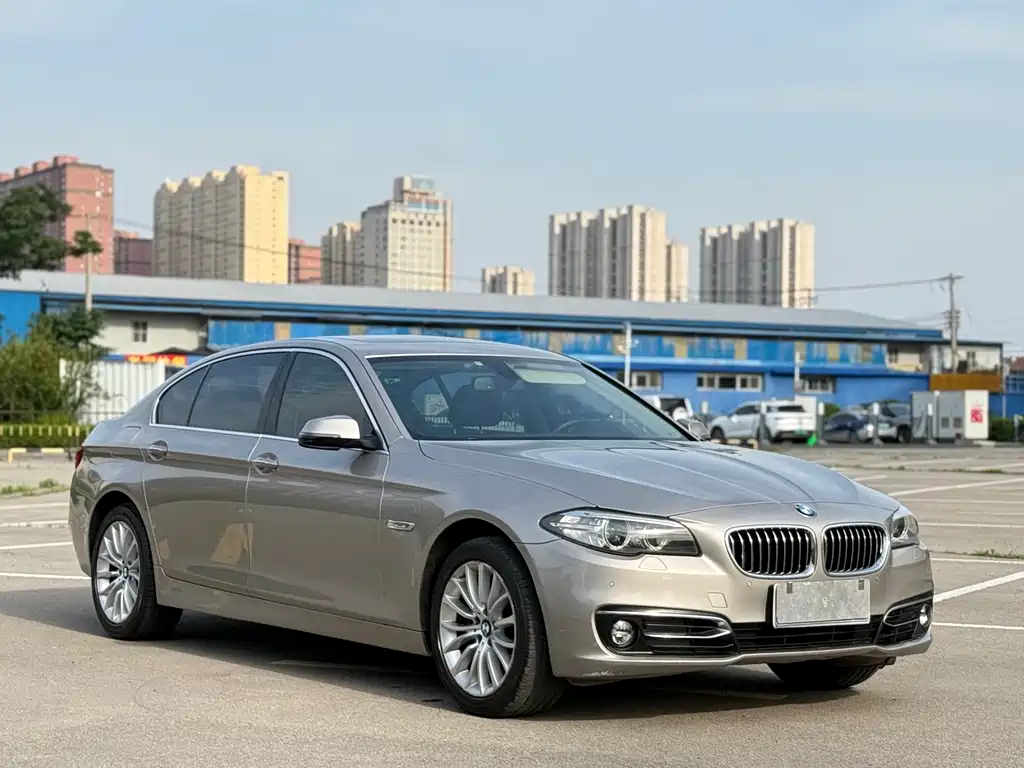 BMW 5 Series 2014 — фото 3