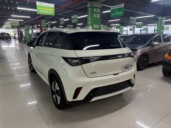 BYD Dolphin 2023