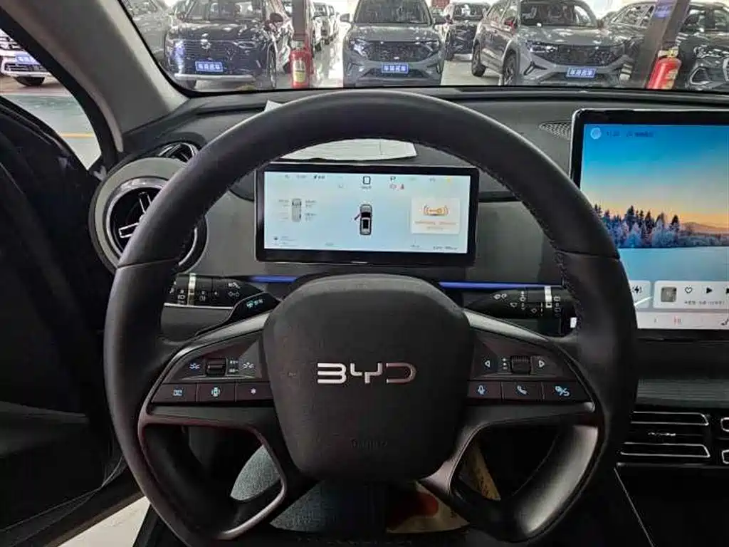 BYD Sealion 05 DM-i 2025 — фото 10