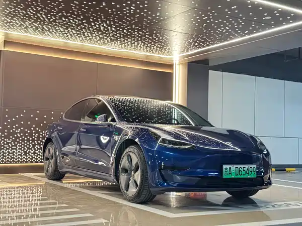 Tesla Model 3 2019