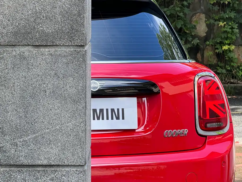 MINI MINI 2019 — фото 15