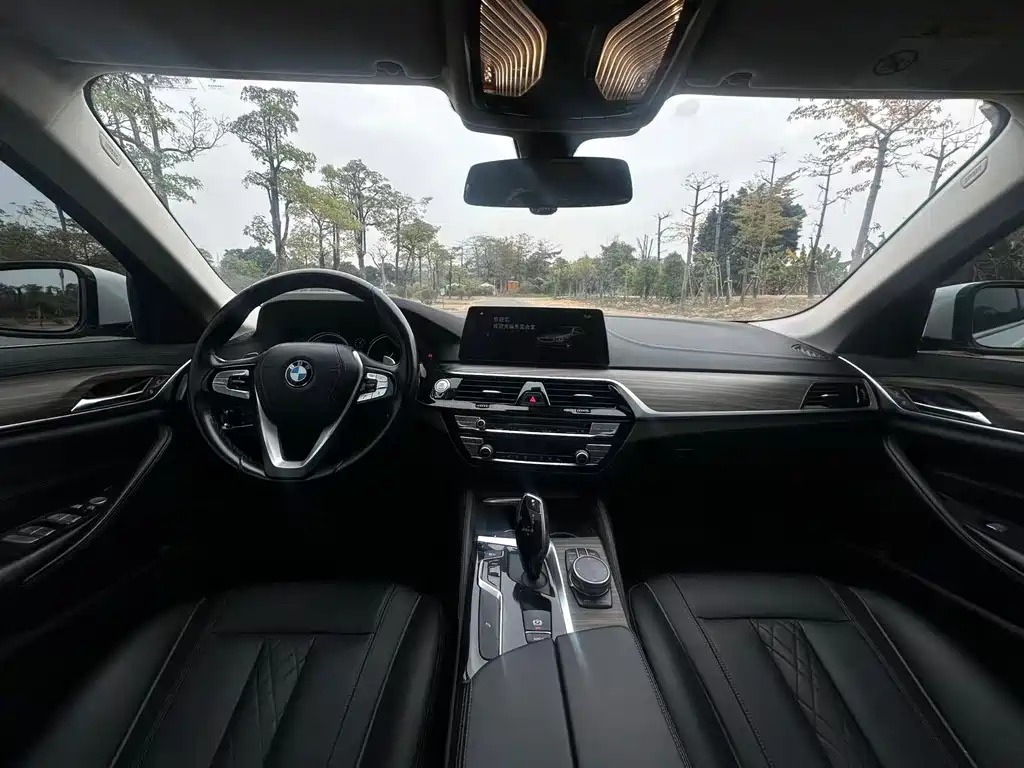 BMW 5 Series 2018 — фото 13